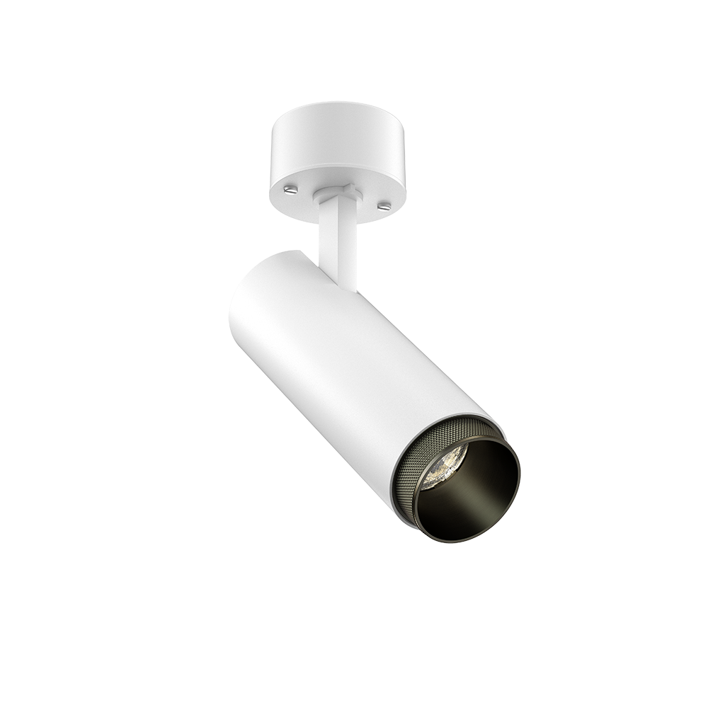 Tubular Snoot 60 Surface Mount Adjustable