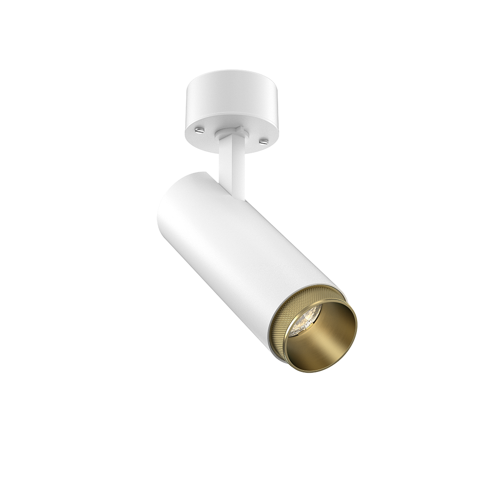 Tubular Snoot 60 Surface Mount Adjustable