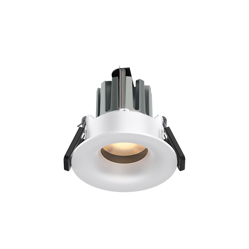 Tama 50 Scoop