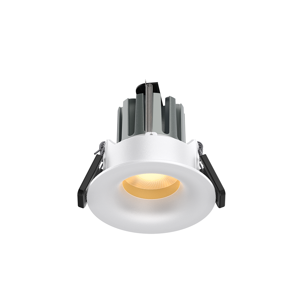Tama 50 Scoop
