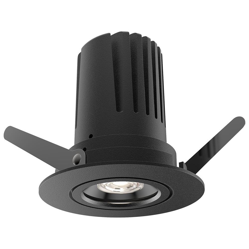 View 50 Adjustable Downlight