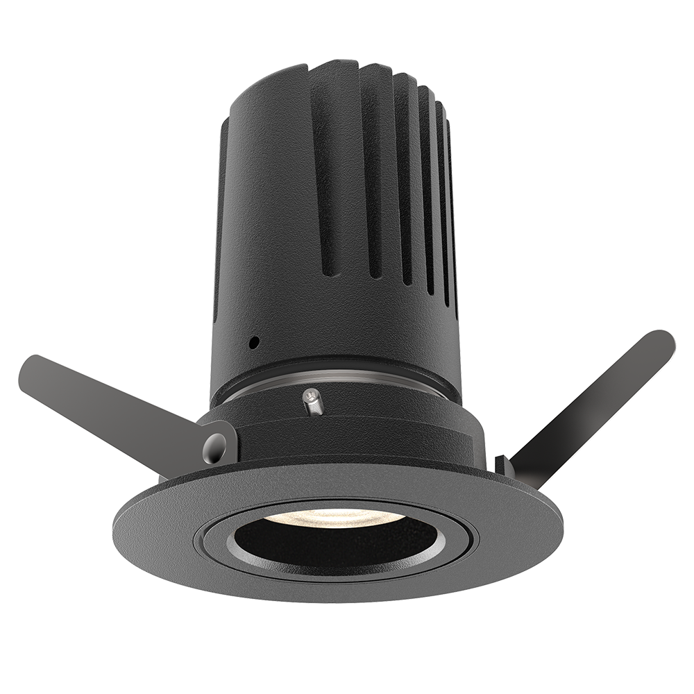 View 50 Adjustable Downlight