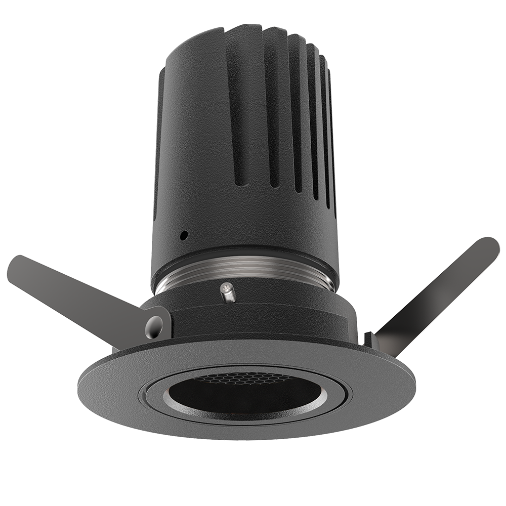 View 50 Adjustable Downlight