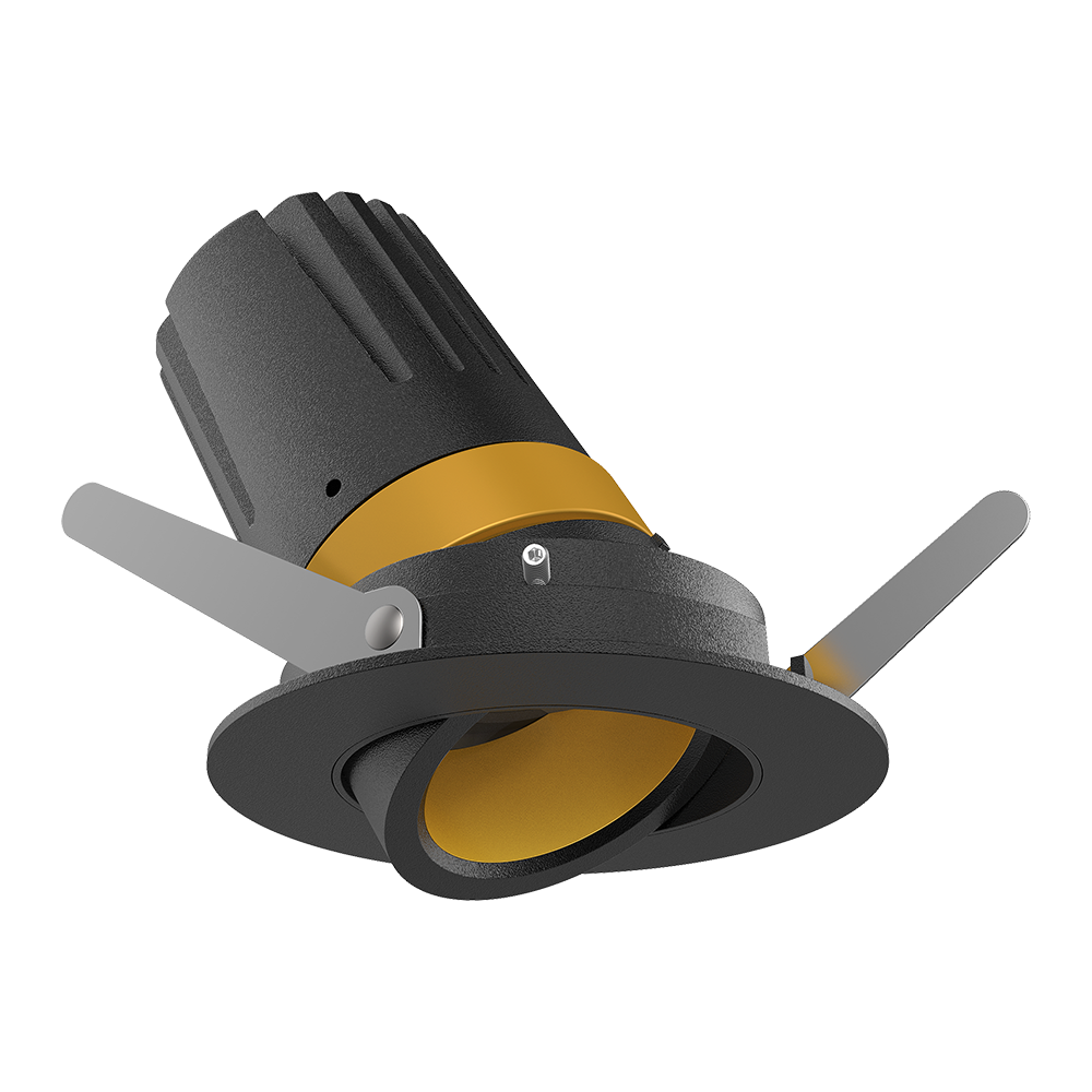 View 50 Adjustable Downlight