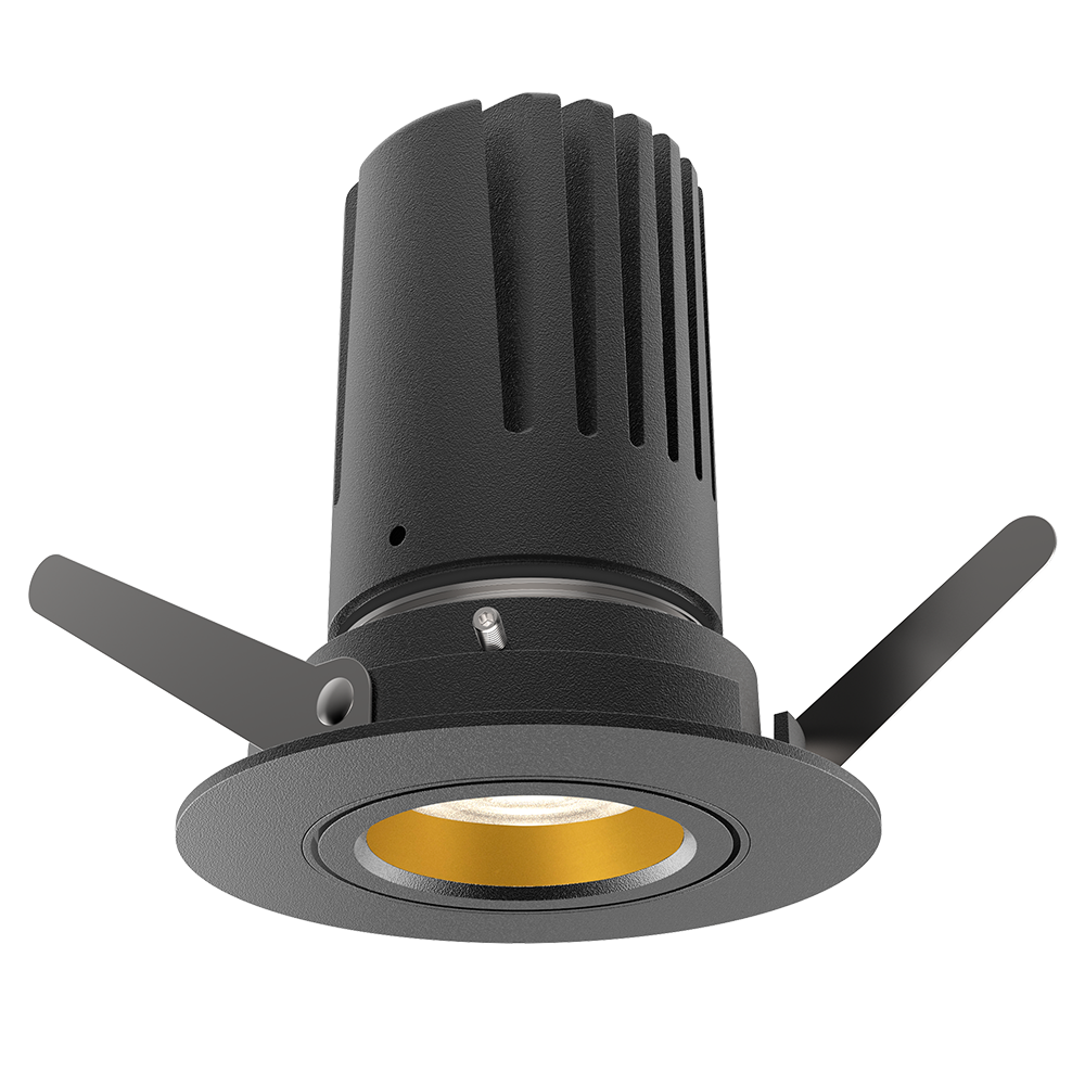 View 50 Adjustable Downlight