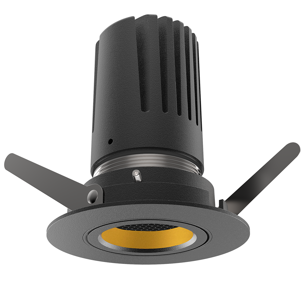 View 50 Adjustable Downlight