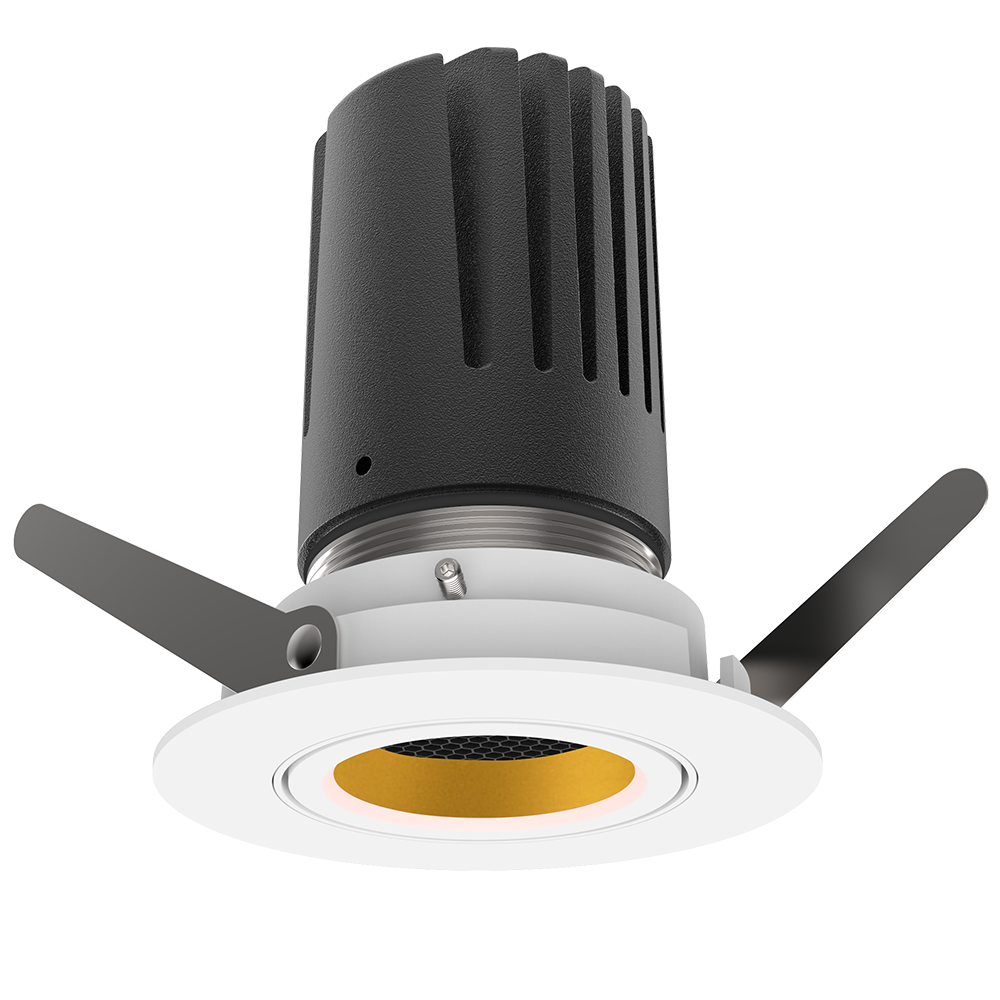 View 50 Adjustable Downlight