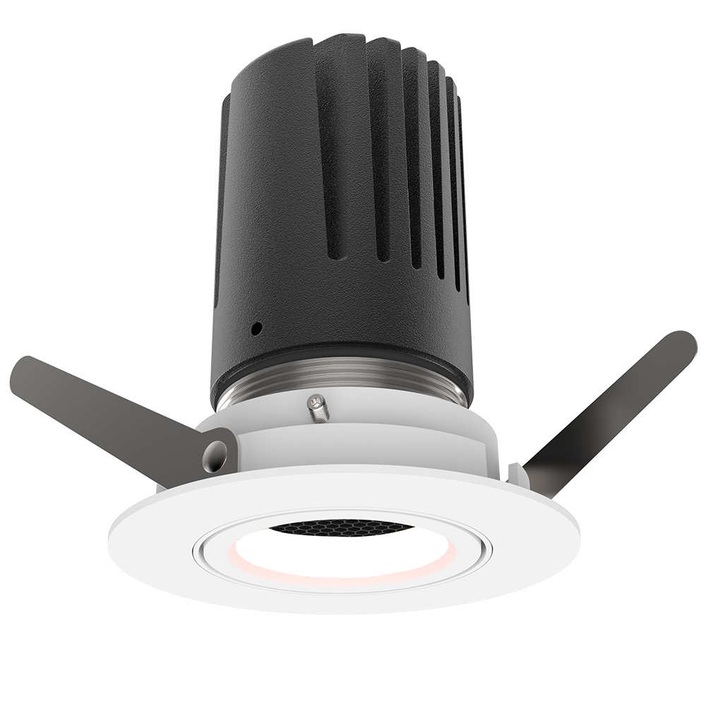 View 50 Adjustable Downlight