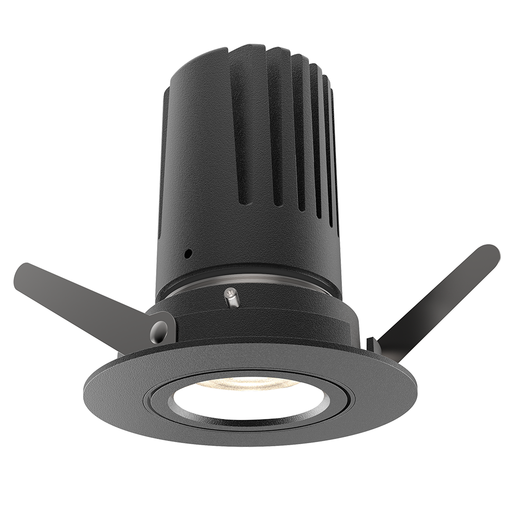 View 50 Adjustable Downlight