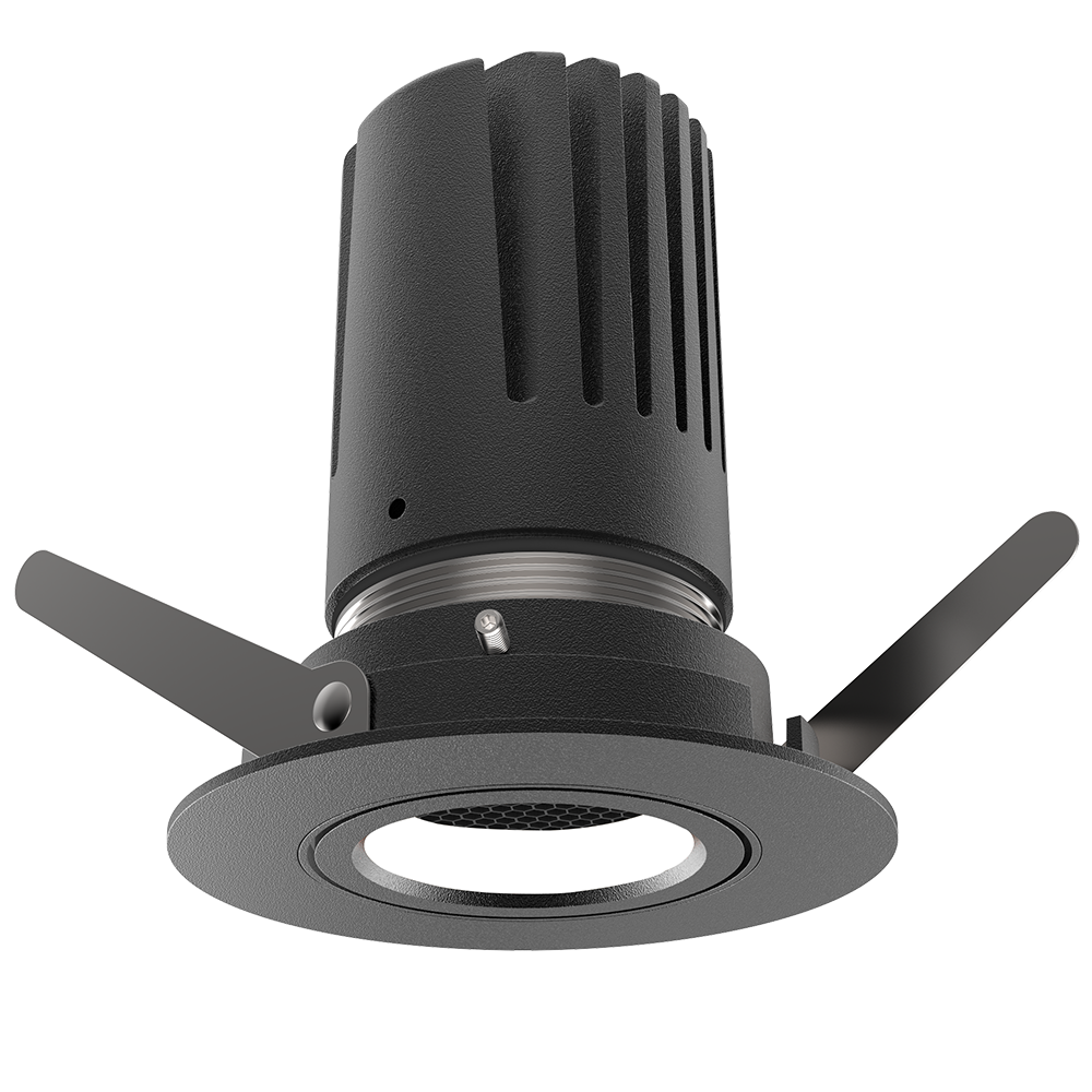View 50 Adjustable Downlight
