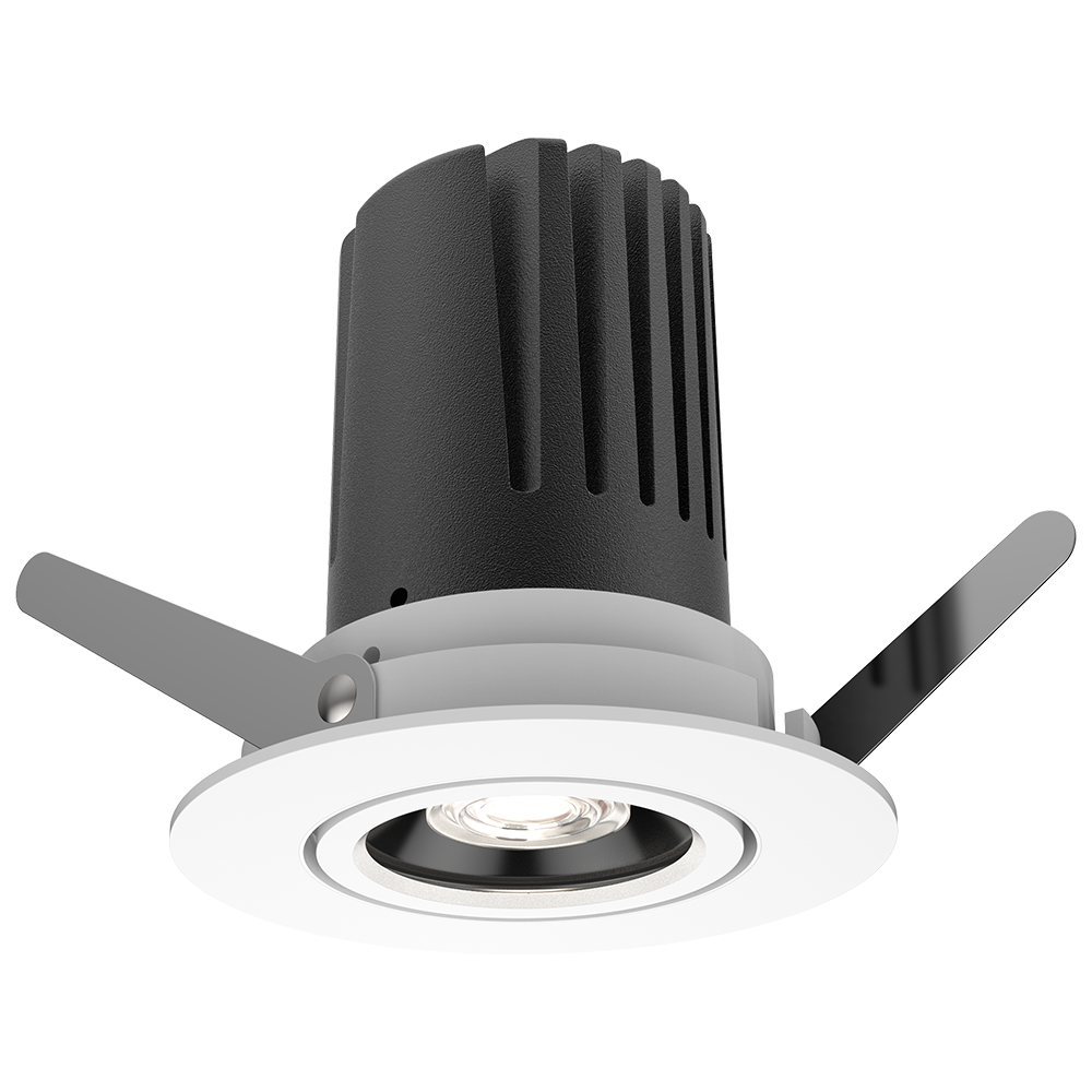 View 50 Adjustable Downlight