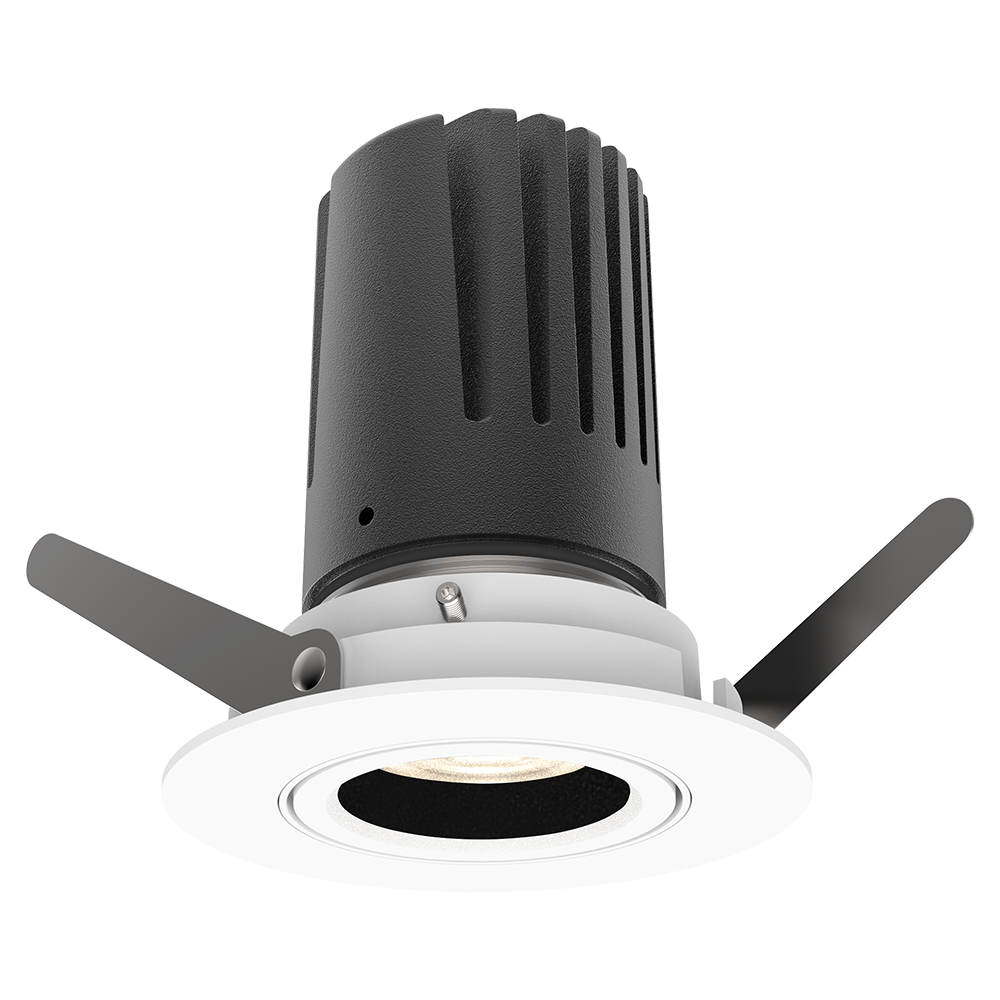 View 50 Adjustable Downlight