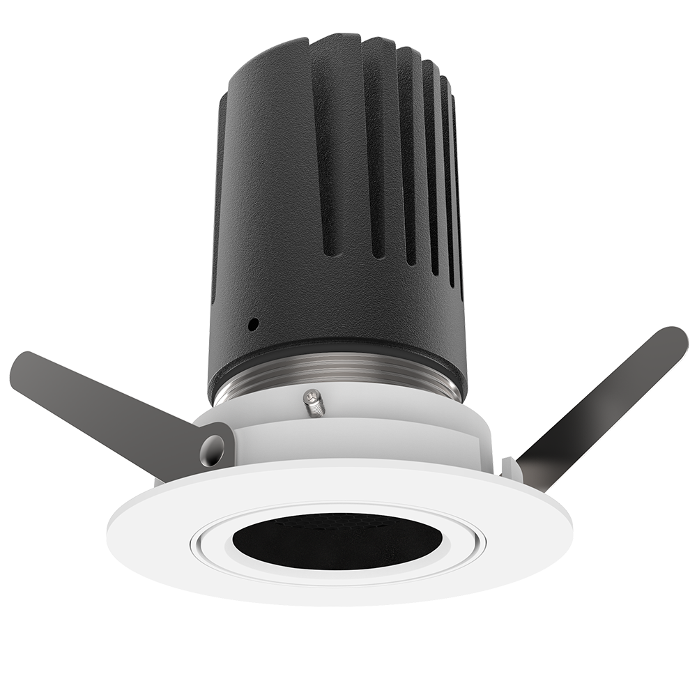 View 50 Adjustable Downlight