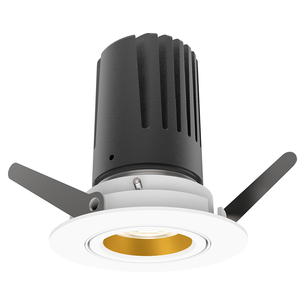 View 50 Adjustable Downlight