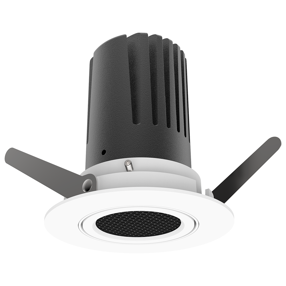 View 50 Adjustable Downlight