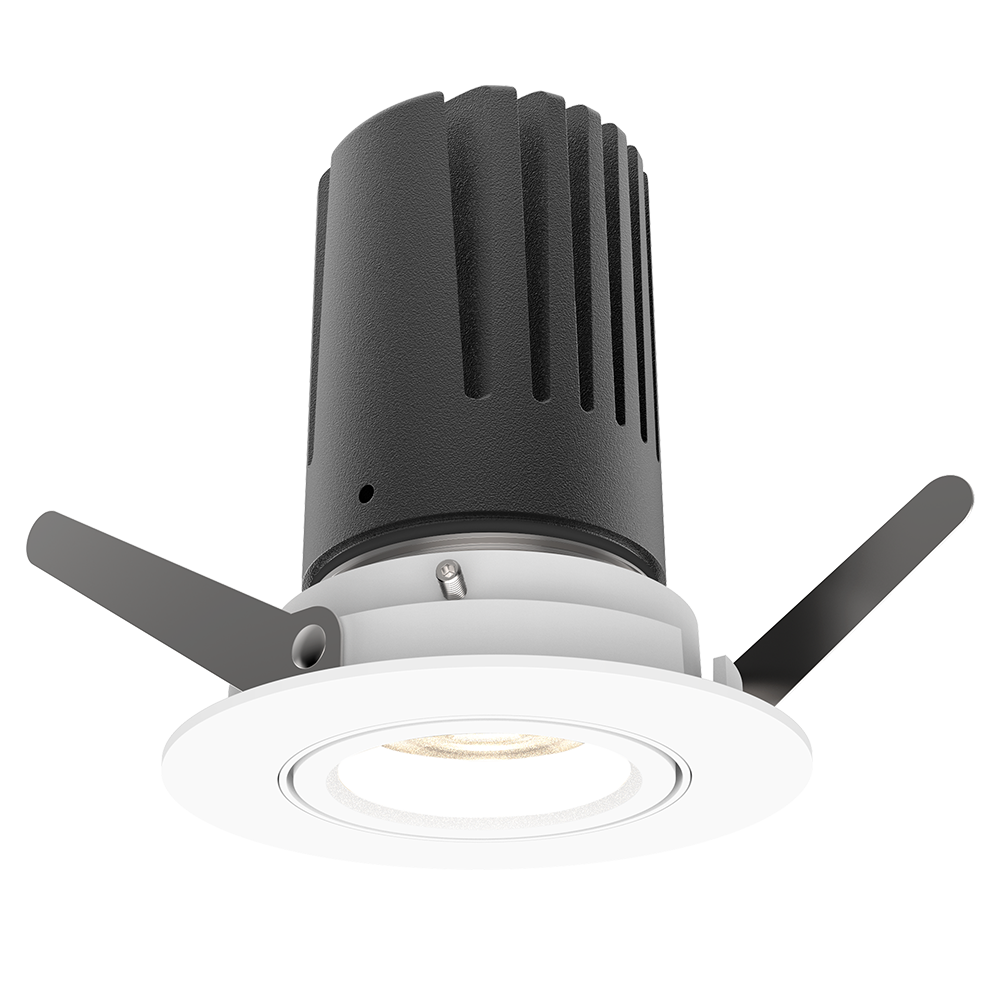 View 50 Adjustable Downlight